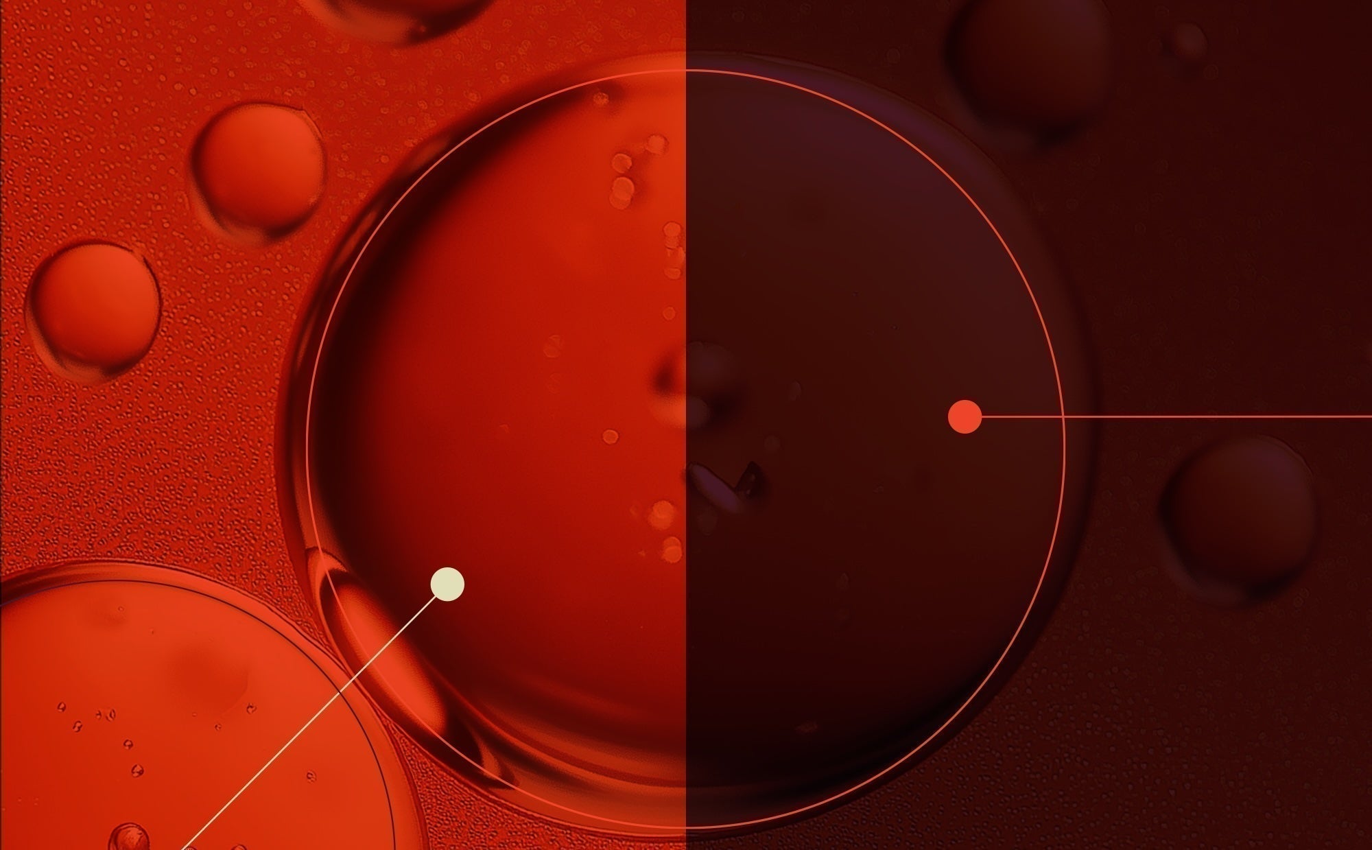 Busting prenatal multivitamin myths: Separating fact from fiction in prenatal nutrition