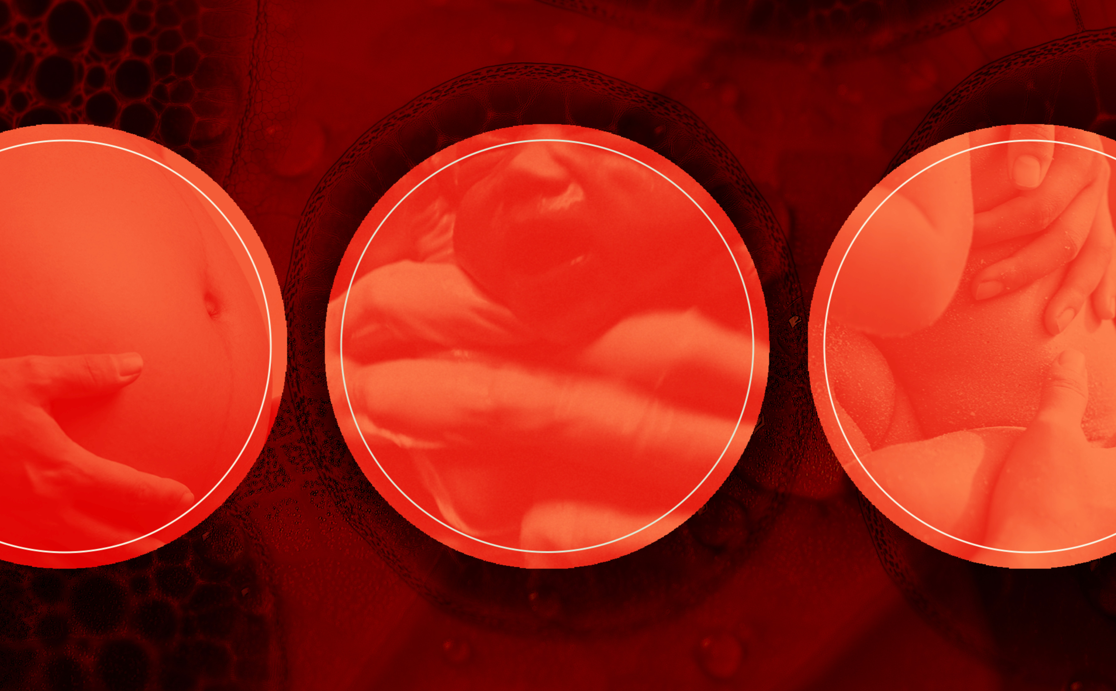 Optimising prenatal nutrition for positive pregnancy, birth, and postpartum outcomes