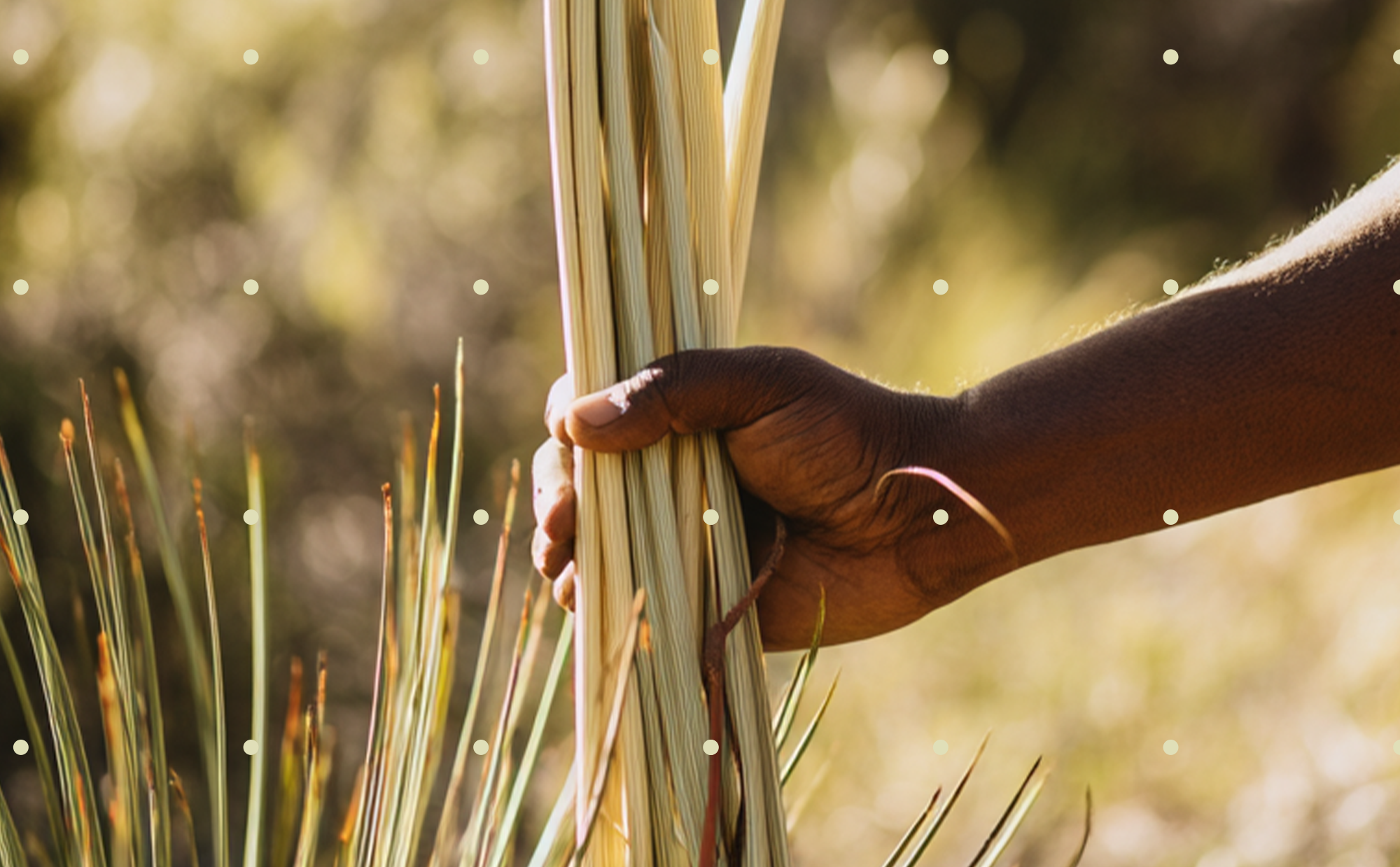 Why We’re Committed to a First Nations-Only Supply Chain