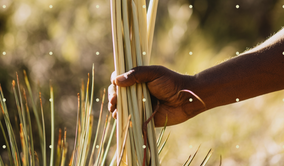 Why We’re Committed to a First Nations-Only Supply Chain