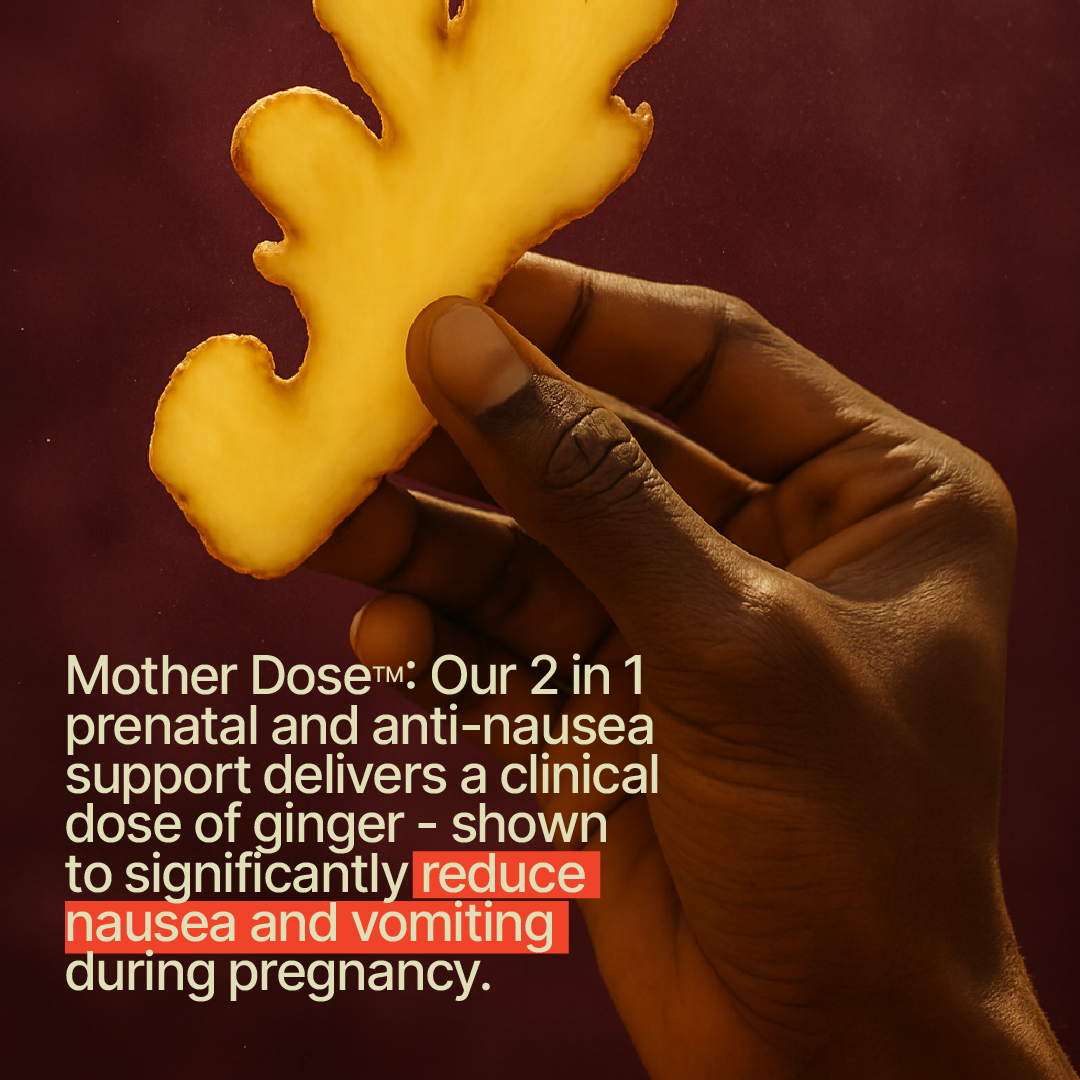Hand holding a fresh ginger root against a red background, representing the clinical 1.5 g ginger extract in Land Lab Mother Dose that helps reduce nausea and vomiting during pregnancy.
