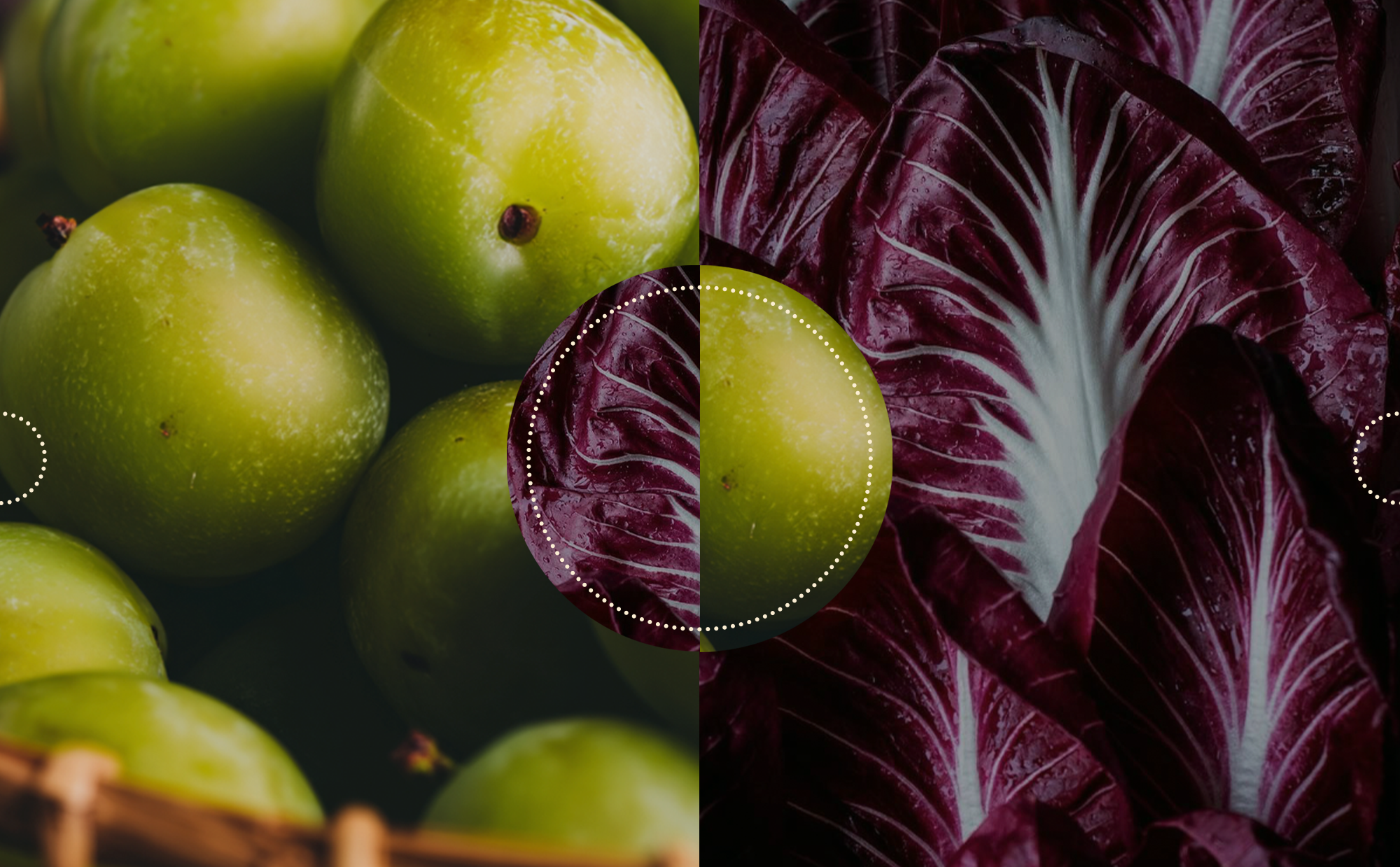 Pregnancy is Not Day One: Why Preconception Nutrition is the Real Beginning