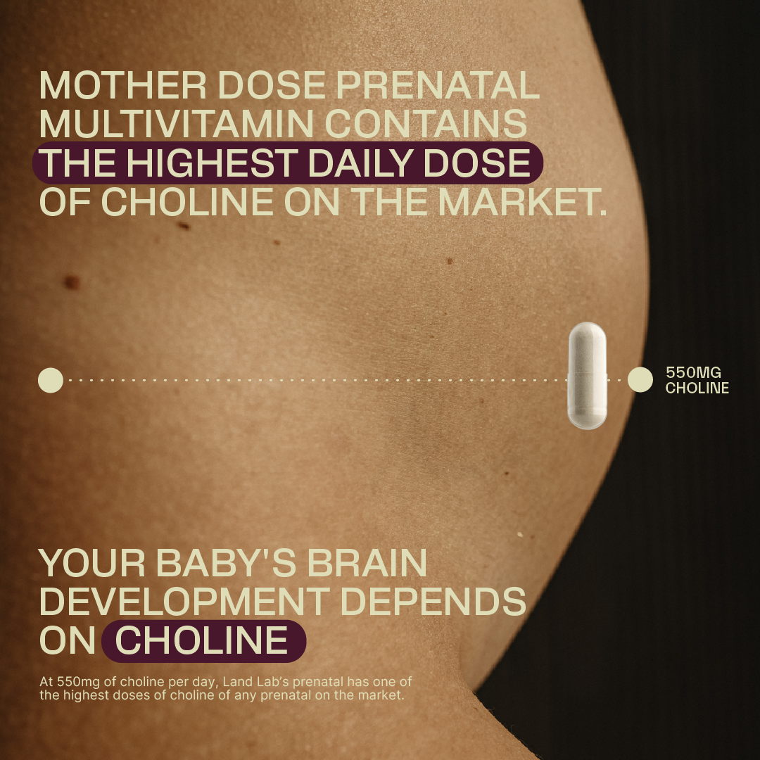 Close-up of a pregnant woman’s belly beside a capsule, illustrating that Land Lab Mother Dose provides 550 mg of choline per daily dose for foetal brain development.